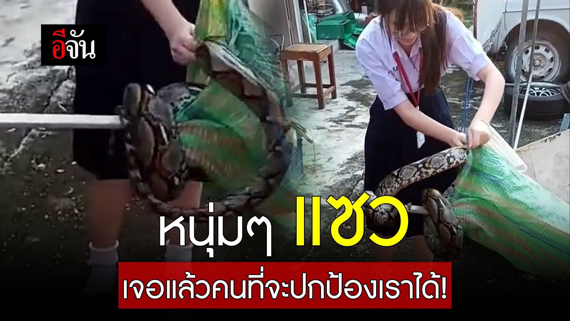 🎬 หนุ่มๆ แซว เจอแล้วคนที่จะปกป้องเราได้!