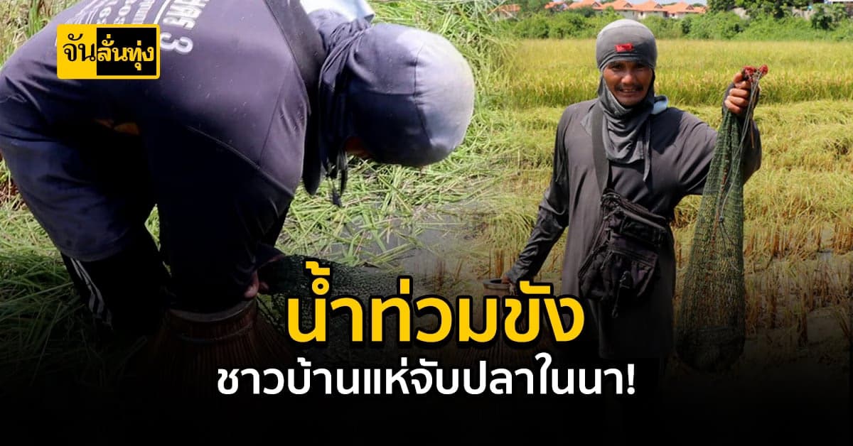 นาน้ำท่วมขัง! ชาวบ้านแห่จับปลาขาย-ทำอาหาร