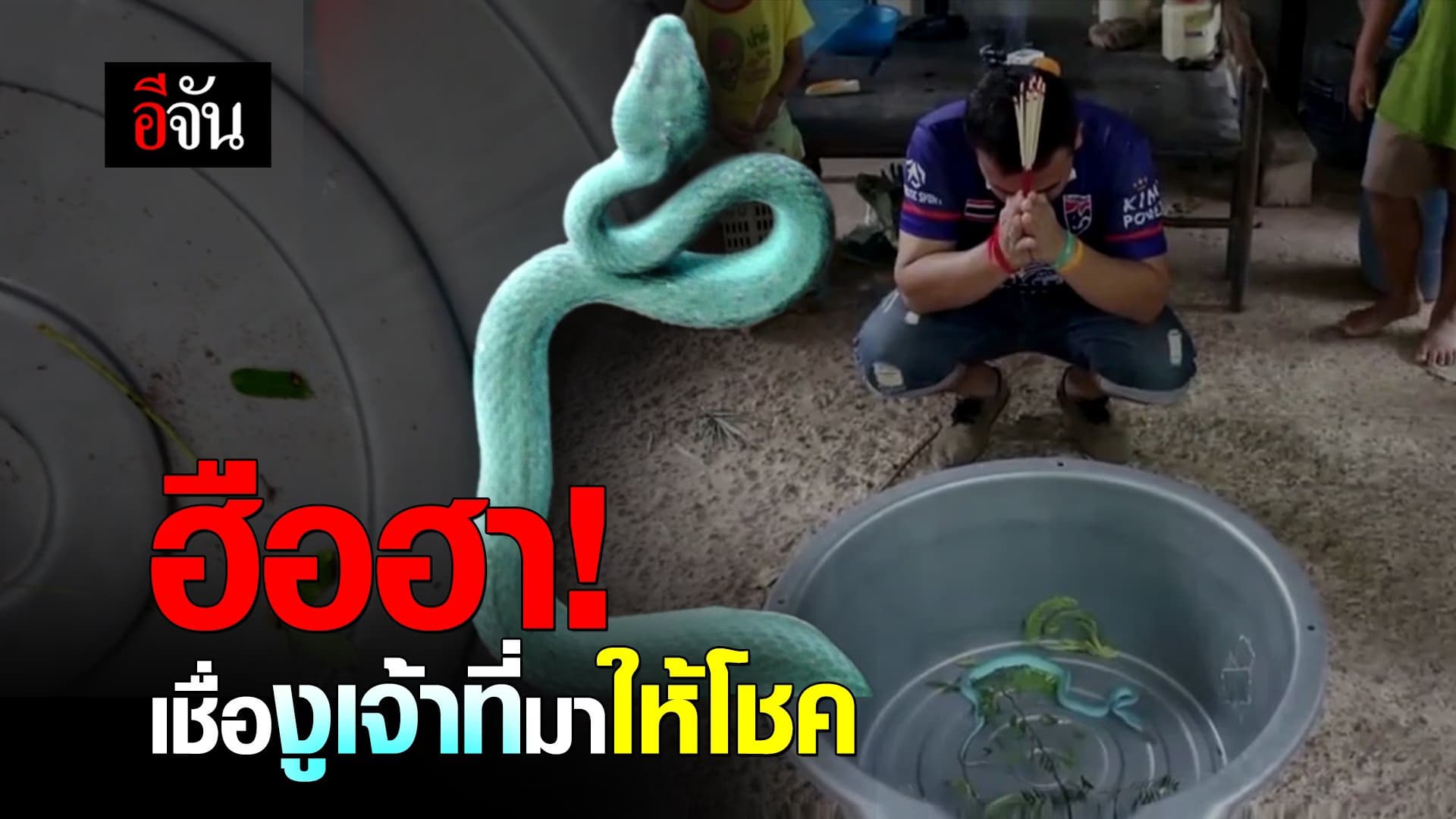 🎬 ฮือฮา! เชื่องูเจ้าที่มาให้โชค