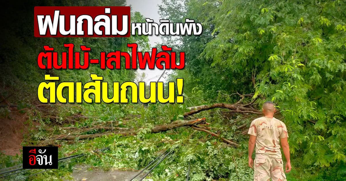 ฝนถล่ม หนองคาย ทำหน้าดินพัง ต้นไม้ เสาไฟล้ม ตัดถนน ไฟฟ้าดับ!