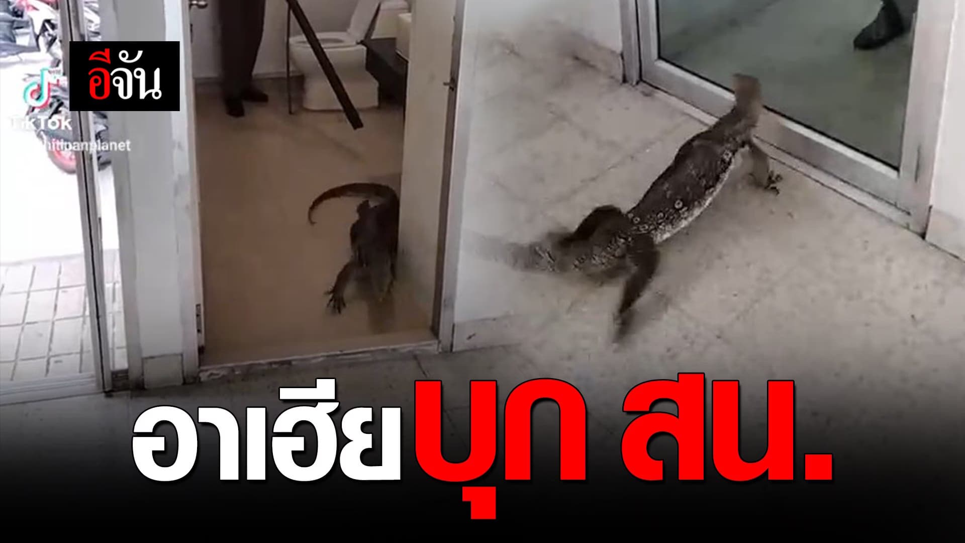 🎬 อาเฮีย บุก สน.