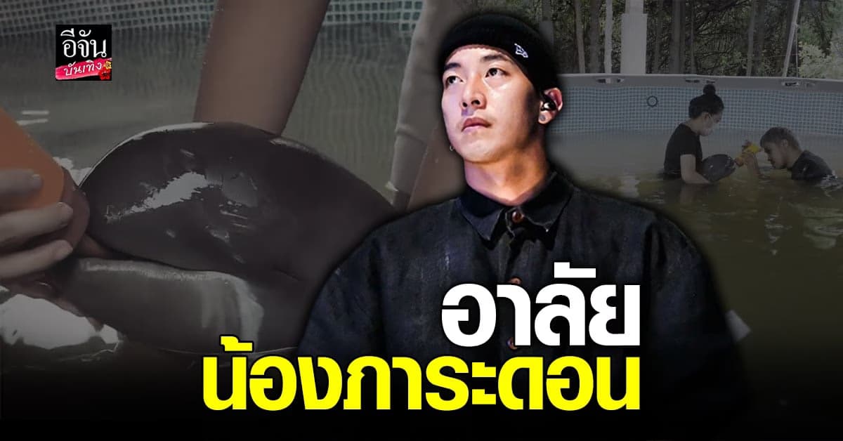 โตโน่ สุดเศร้า โพสต์ไว้อาลัย น้องภาระดอน โลมาอิรวดี