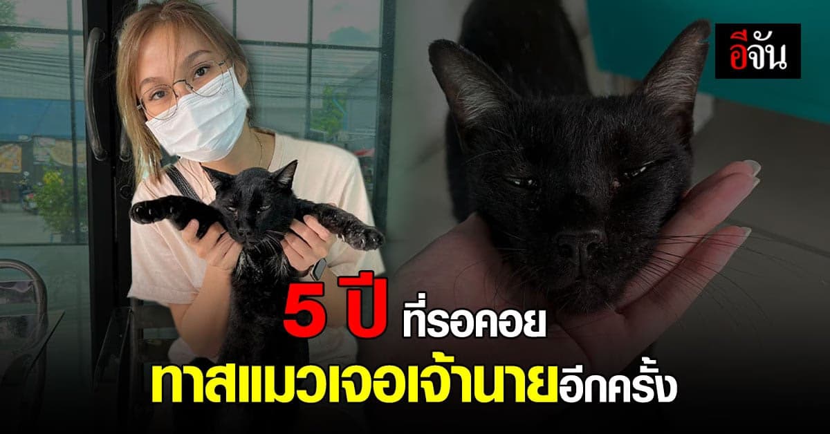 ปาฏิหารย์ ! ที่รอคอยเจอแล้ว แมว หาย 5 ปี