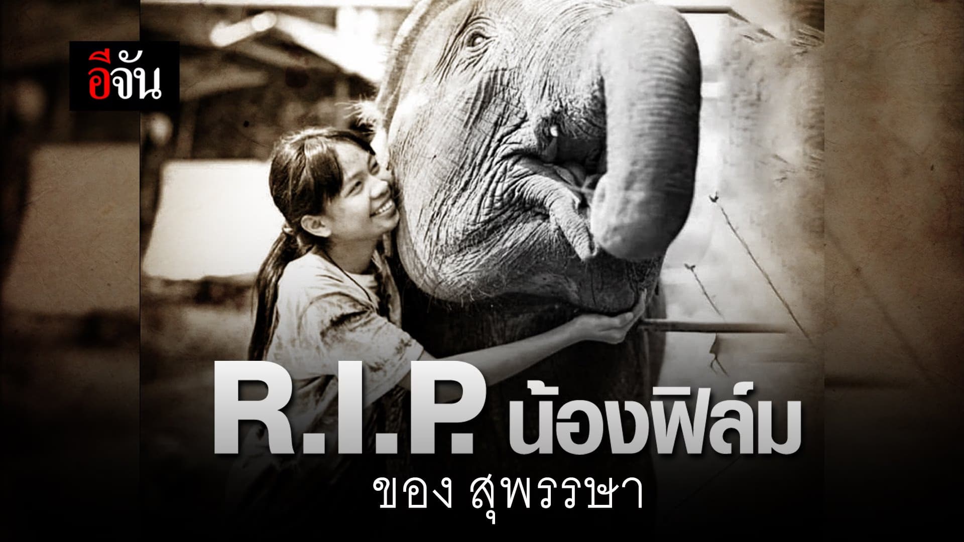 🎬 R.I.P. น้องฟิล์ม ของ สุพรรษา