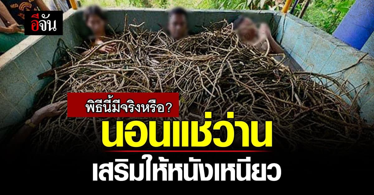 พิธีกรรมแช่ว่านยา ช่วยให้หนังเหนียว จริงหรือ ?