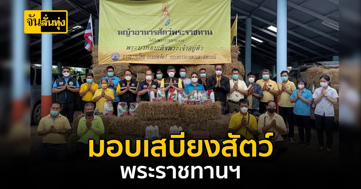 ปศุสัตว์มอบหญ้าอาหารสัตว์พระราชทานแก่เกษตรกรผู้เลี้ยงสัตว์ระยอง