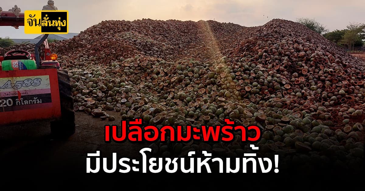 ไอเดียปัง! เปลี่ยน เปลือกมะพร้าวอ่อน ธรรมดา ให้มีประโยชน์