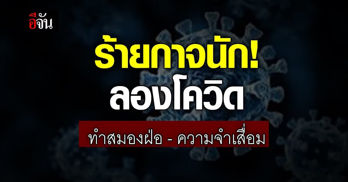นพ.ธีระ เผย ลองโควิด ส่งผลภาวะสมองฝ่อ-ความจำเสื่อม