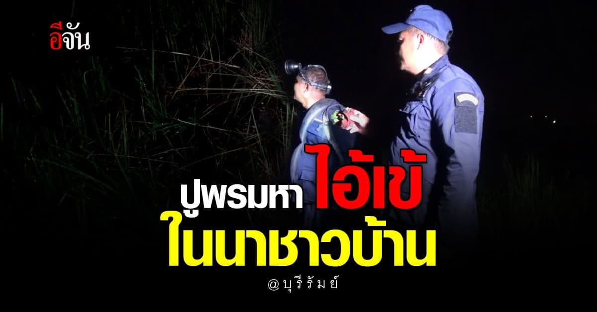 ยังจับไอ้เข้ไม่ได้! เจ้าหน้าที่ ปูพรม หาไอ้เข้ หลุดเข้ามาในนาชาวบ้าน