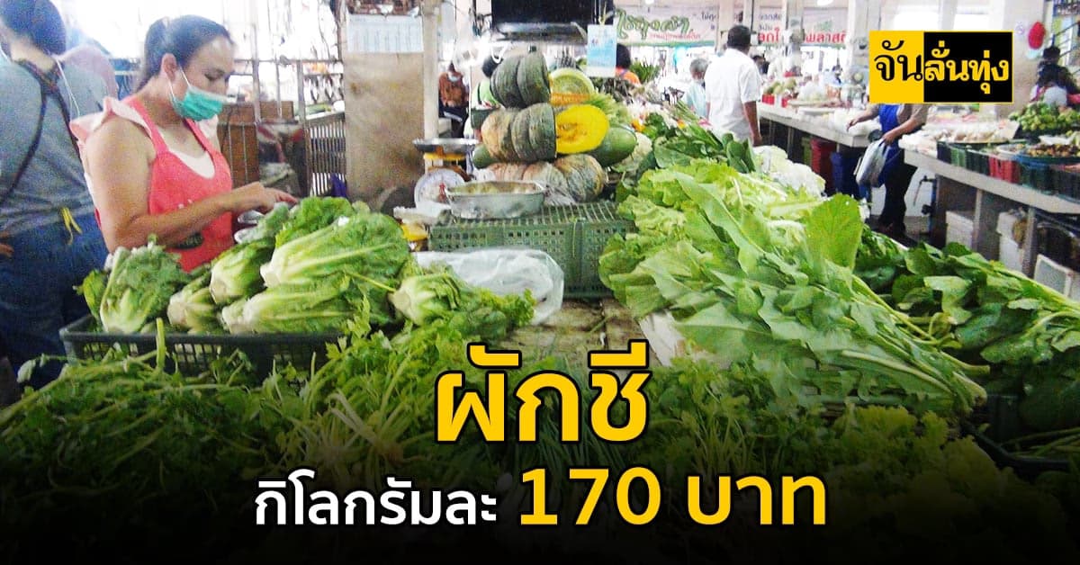 ผักปรับราคาเท่าตัว