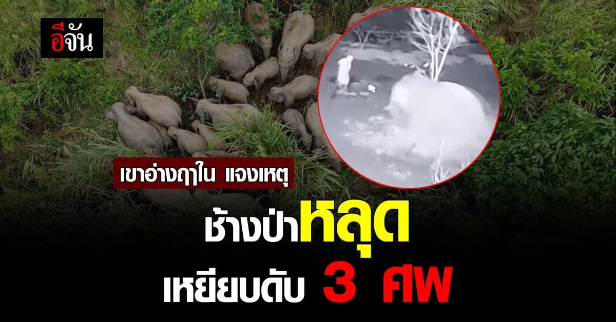 เขตอนุรักษ์พันธุ์สัตว์ป่า เขาอ่างฤาใน แจงปม ช้างป่า หลุดนอกเขต!