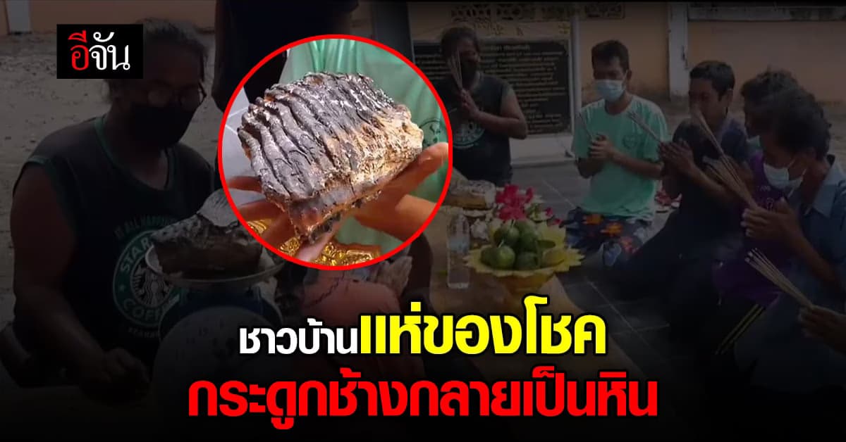 ฮือฮา! ชาวบ้าน เชื่อ กระดูกช้างกลายเป็นหิน ให้โชค