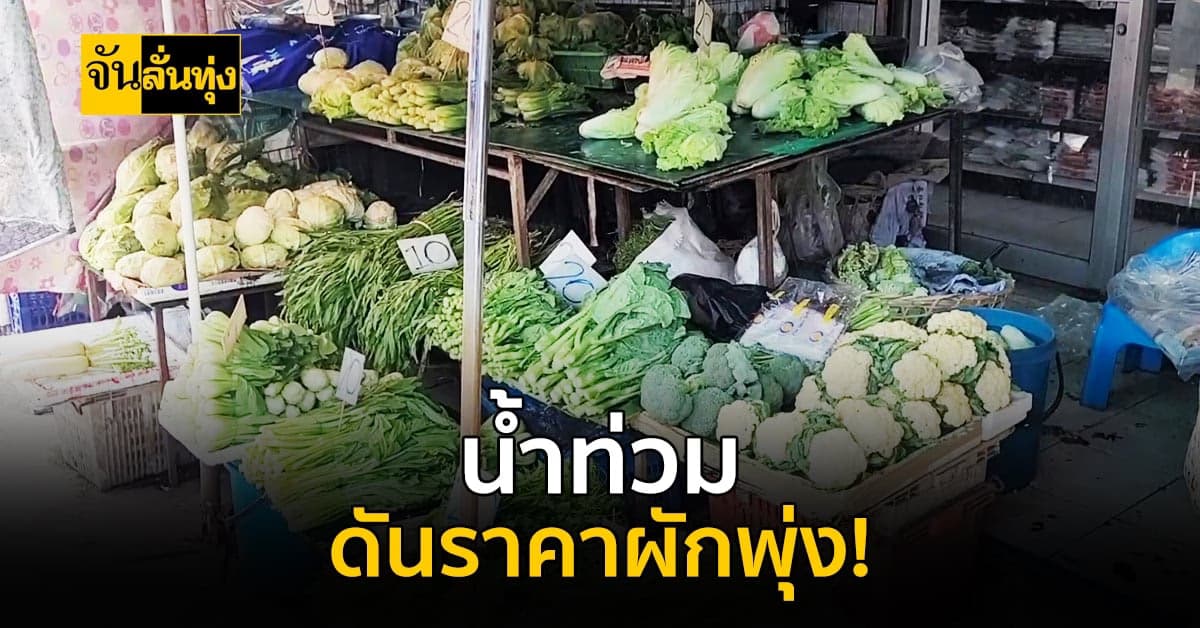 ทุกข์หนัก! หลังน้ำท่วมใหญ่ ทำราคาผักพุ่งสูง
