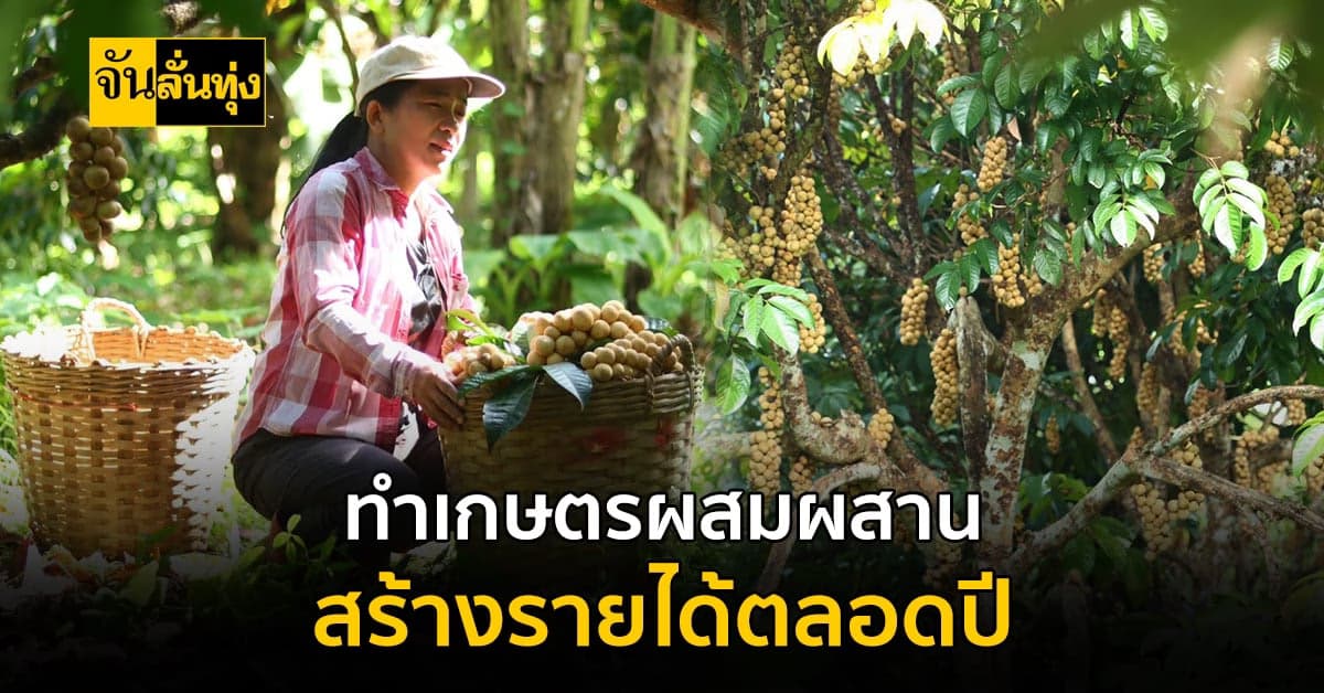 สวนใจใหญ่ อุตรดิตถ์ ต้นแบบสวนเกษตรแบบผสมผสาน