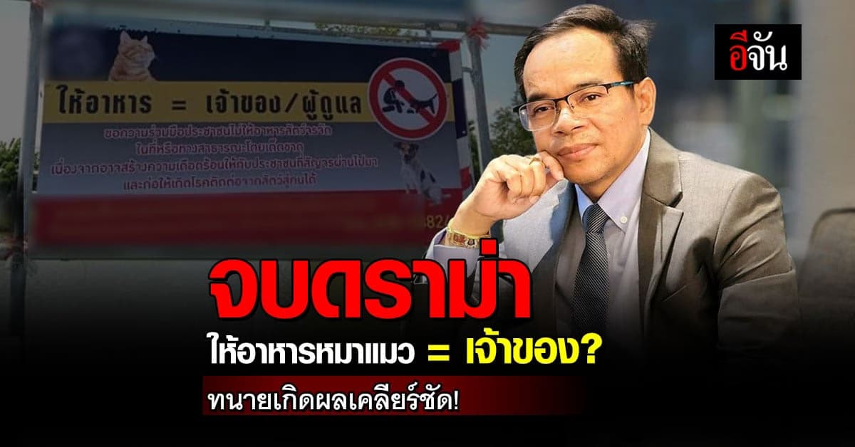ทนายเกิดผลเคลียร์ชัด! ให้อาหารหมาแมวจรจัดไม่เท่ากับเป็นเจ้าของ