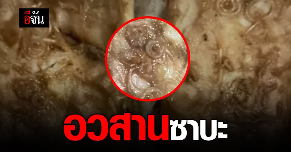อวสานอาหารกลางวัน พยาธิตัวกลมในปลาซาบะ