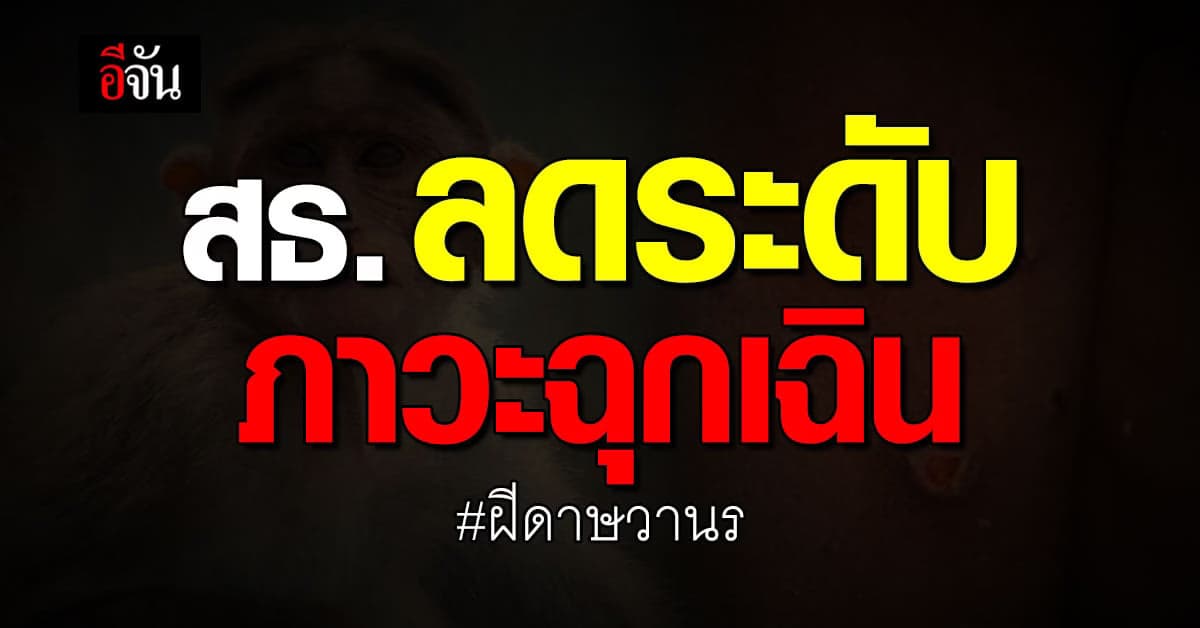 สธ. ลดระดับศูนย์ปฏิบัติการภาวะฉุกเฉิน ฝีดาษวานร หลังแนวโน้มทั่วโลกลดลง