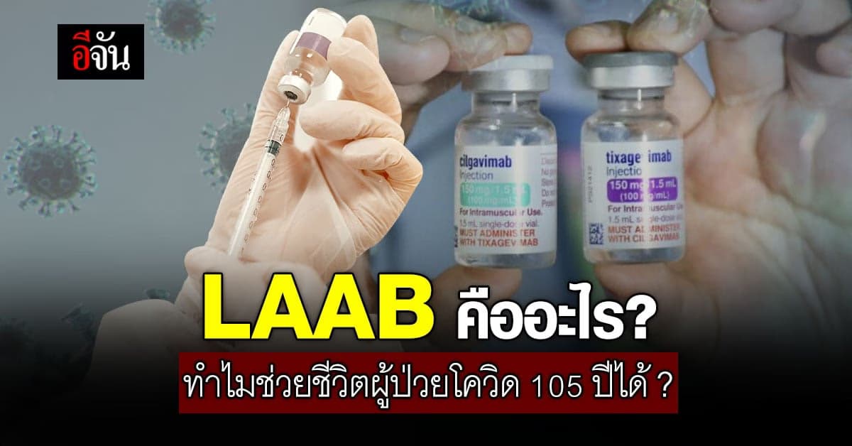 LAAB ภูมิคุ้มกันสำเร็จรูป ที่ต่างจากวัคซีนโควิด เสริมภูมิคุ้มกันโดยตรง