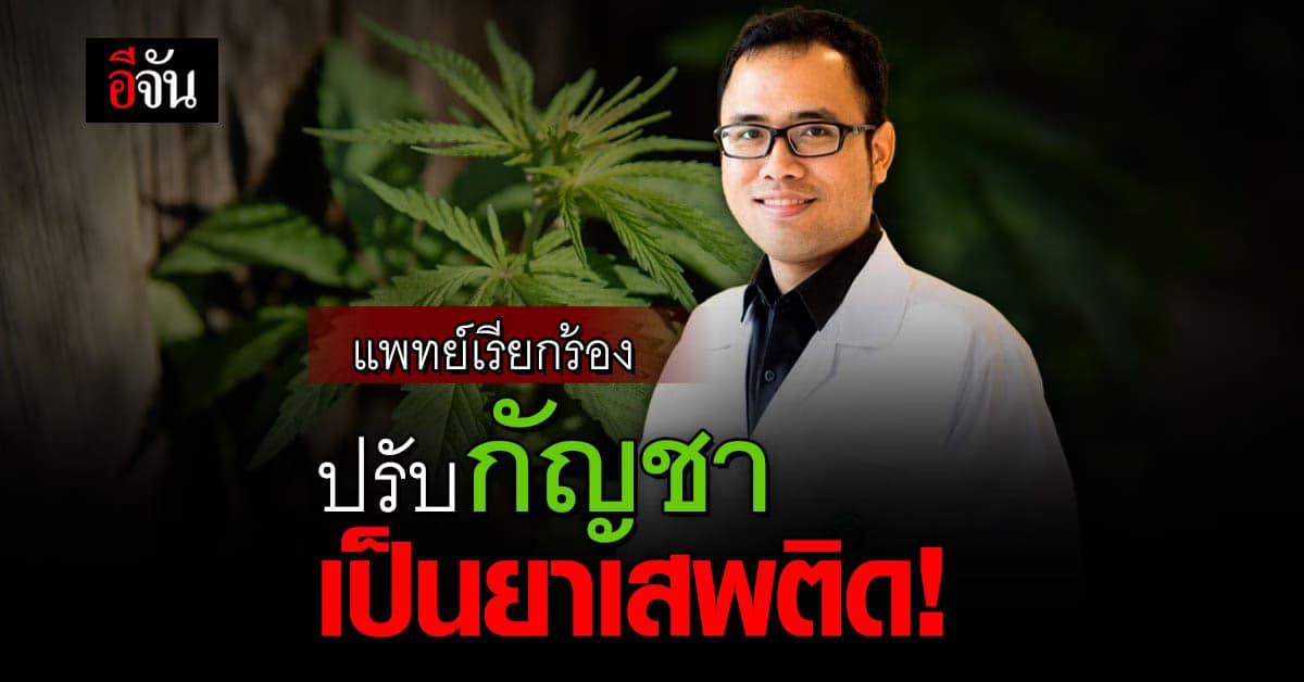 แพทย์ 1,363 แสดงจุดยืนต่อยกเลิก กัญชาเสรี กลับเป็น ยาเสพติด