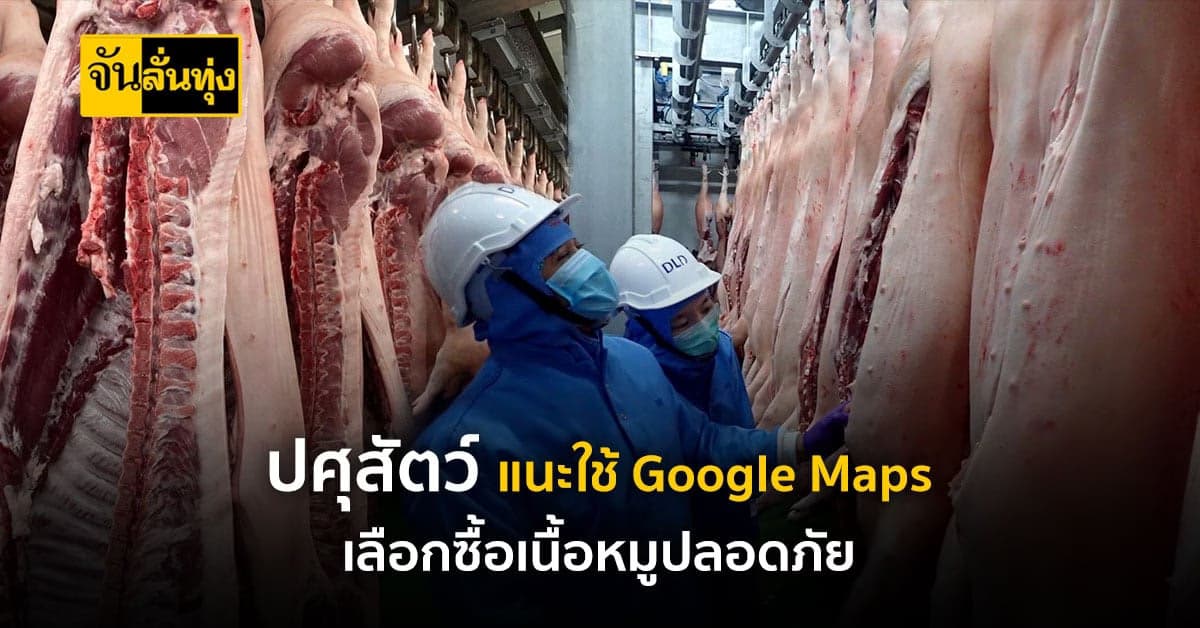 ปศุสัตว์ แนะใช้ Google Maps เลือกซื้อ เนื้อหมู ที่ปลอดภัย
