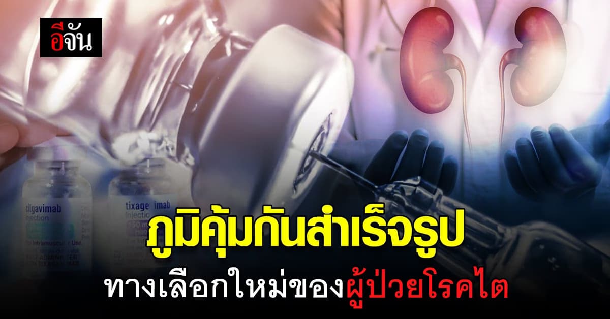 LAAB ตัวช่วยเสริม ภูมิคุ้มกัน ลดความกังวลของผู้ป่วย โรคไต