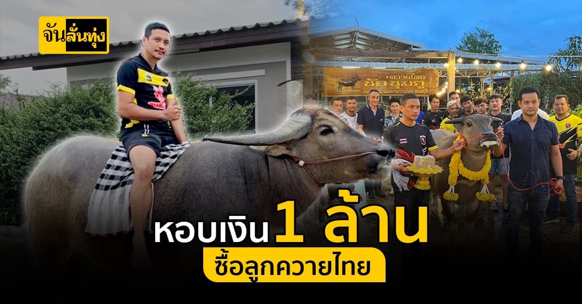 เจ้าของฟาร์มนครปฐม ทุ่ม เงินสด 1 ล้าน ซื้อลูกควายไทย จันทบุรี