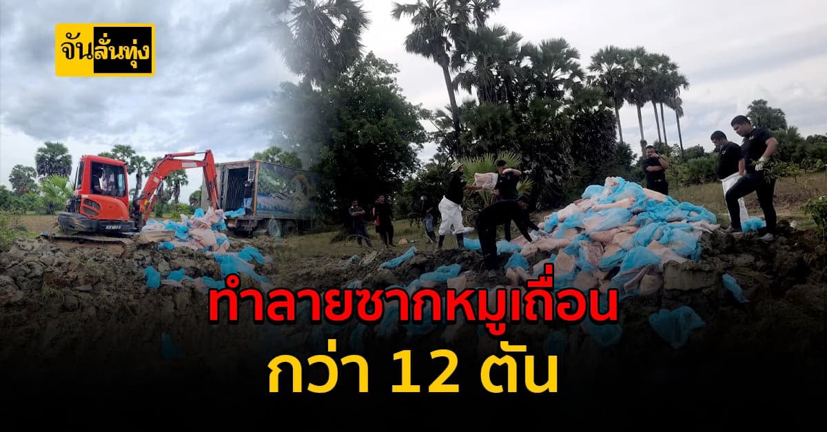 กรมปศุสัตว์ สั่งทำลายซากหมูกว่า 12 ตัน