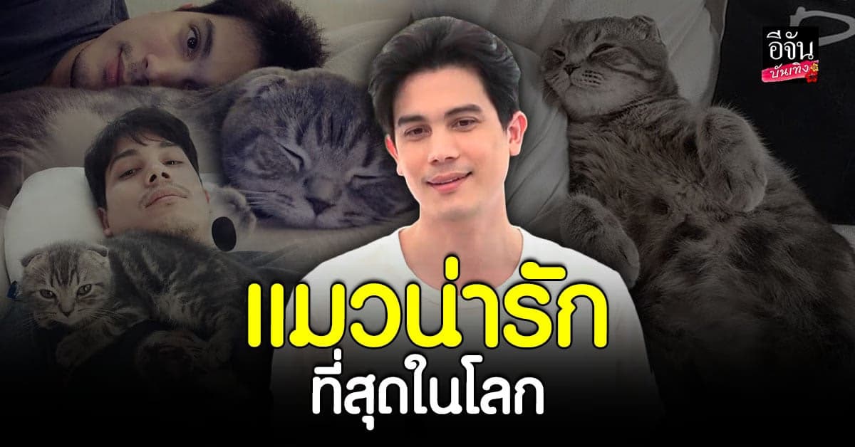 ซันนี่ เผยมีแค่แมว ไม่มีเมียก็ได้ ลั่นไม่เคยเห็นอะไรน่ารักเท่านี้