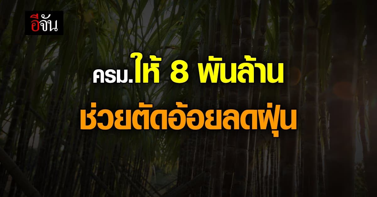 ชาวไร่อ้อย เฮ! ครม.เคาะ 8 พันล้าน ช่วยตัดอ้อย หวังลด PM 2.5 เดือน พ.ย.