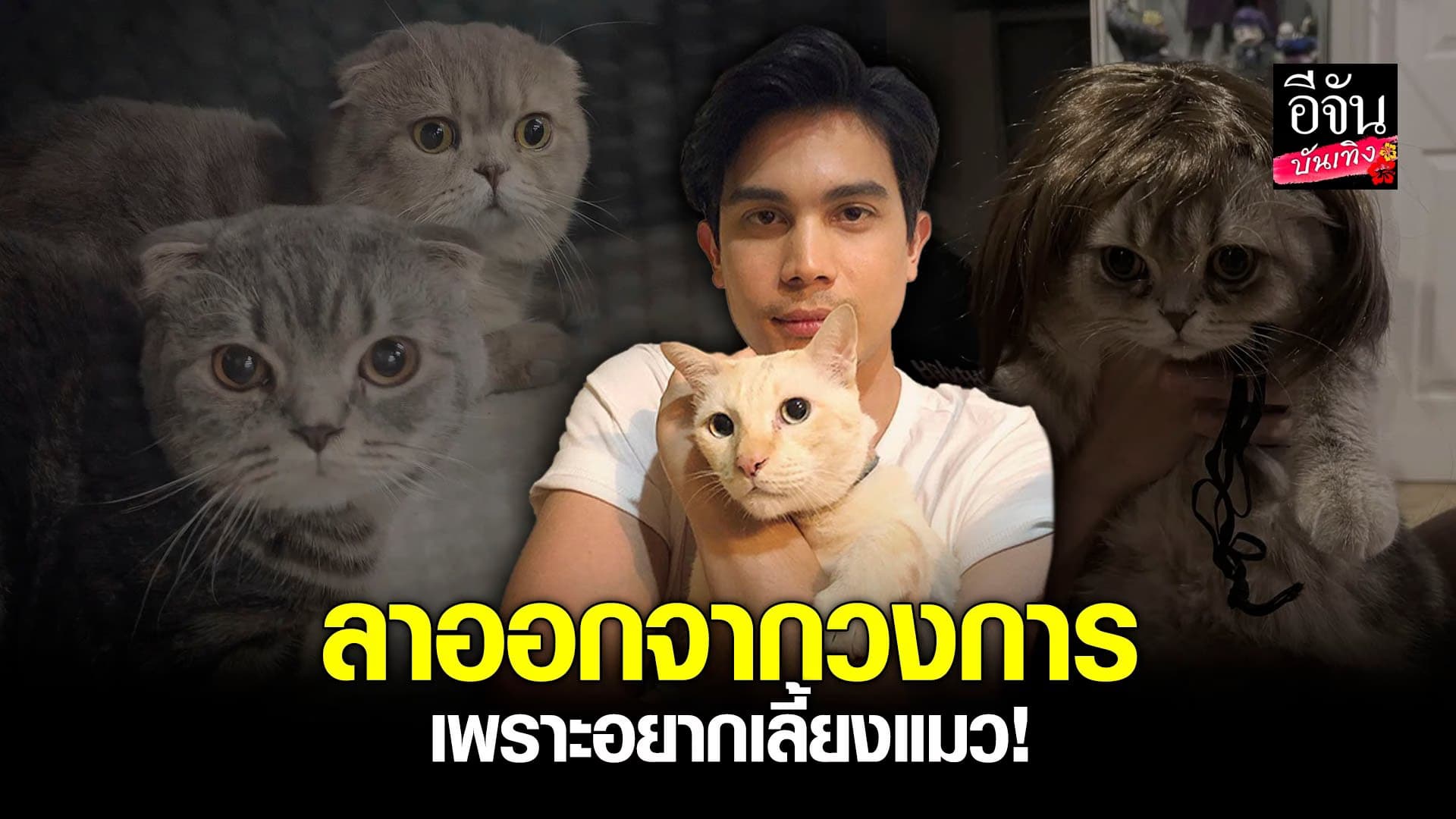 🎬 คลิปบันเทิง : คลั่งรักมาก ซันนี่ ลั่นไม่เคยเห็นอะไรน่ารักเท่าแมว