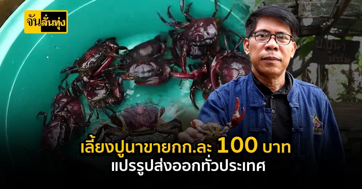 ปูนาทำเงิน! เลี้ยงแปรรูป ส่งขายทั่วประเทส สร้างรายได้ดี