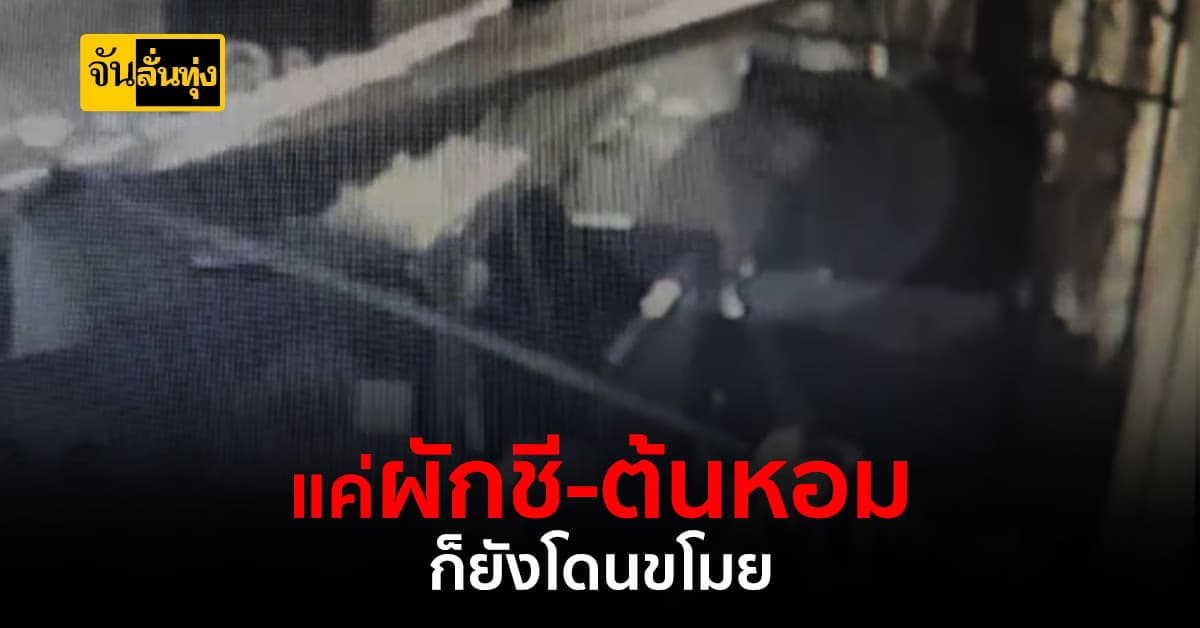 ขอนแก่น สาวรับจ่ายตลาดเซ็ง! โจรขโมยผักชี-ต้นหอมลูกค้า