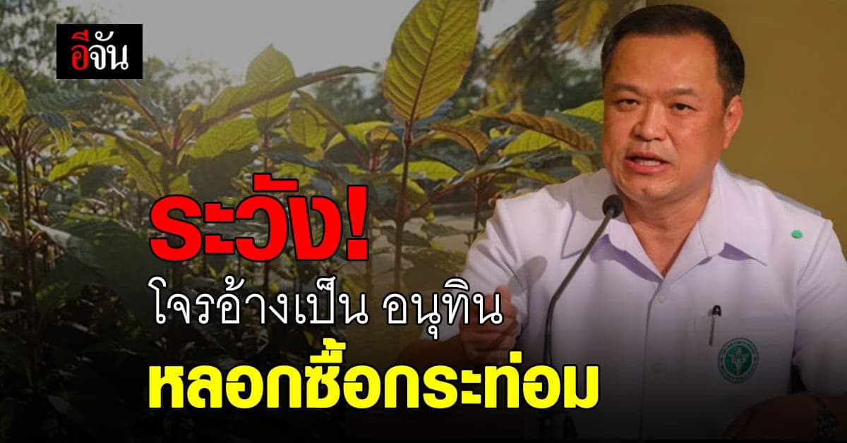 รัฐบาล เตือน อย่าหลงเชื่อ คนร้าย แอบอ้าง อนุทิน กว้านซื้อพืชกระท่อม
