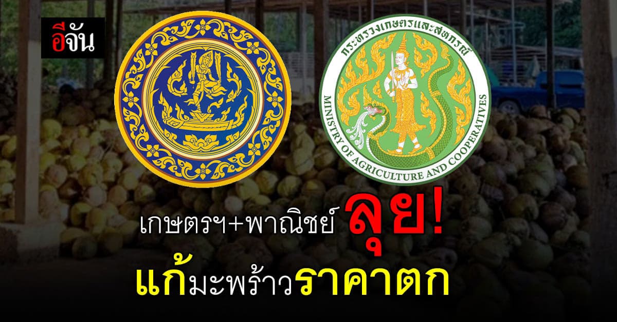 เกษตรฯ จับมือพาณิชย์ ลุยแก้มะพร้าวราคาตก มั่นใจแก้ได้ไม่เกินปลายปี