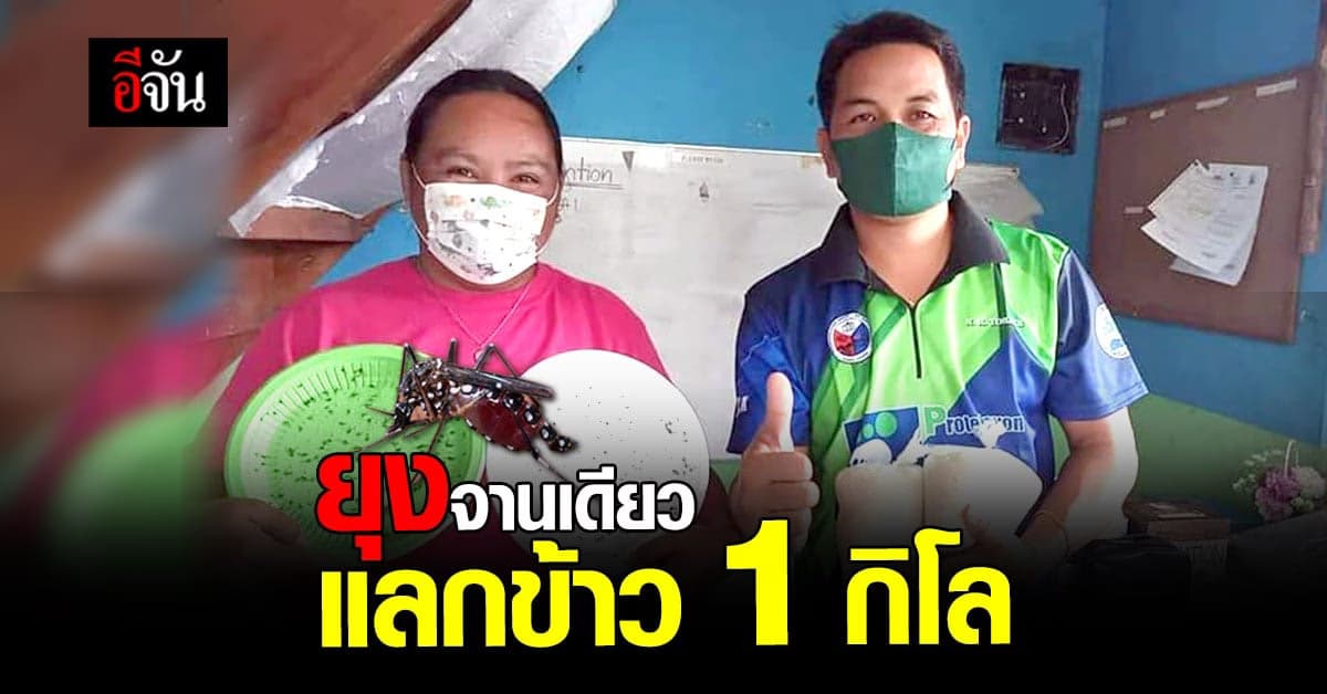 แคมเปญสุดเจ๋ง ! ดักยุง 1 จาน แลก ข้าว 1 กิโลกรัม