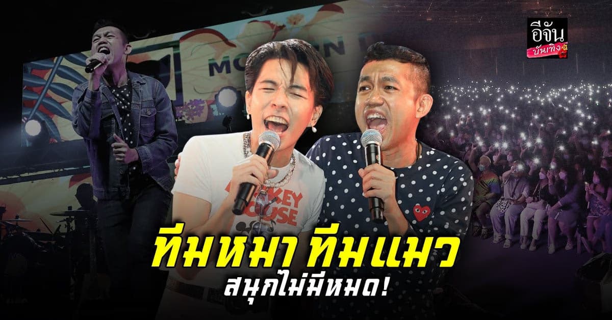 จัดเต็มความสนุก MODERNDOG x POLYCAT