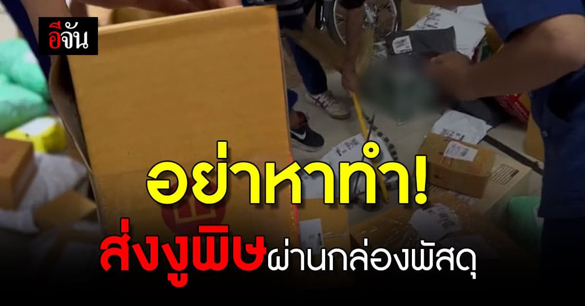 อย่าหาทำ! ลูกค้าส่งงูพิษ มาในกล่องพัสดุ แต่หลุดจากกล่อง ทำขนส่งวงแตก