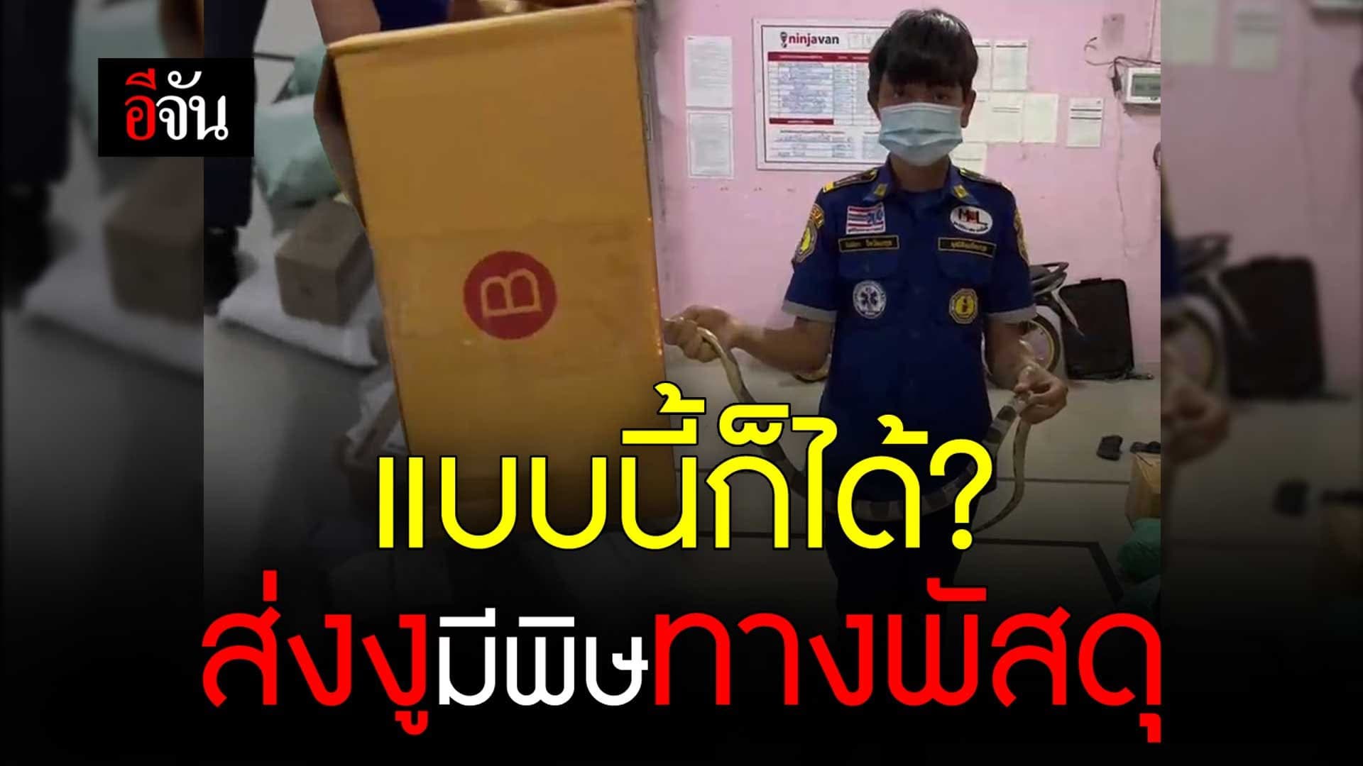 🎬 แบบนี้ก็ได้? ส่งงูมีพิษทางพัสดุ