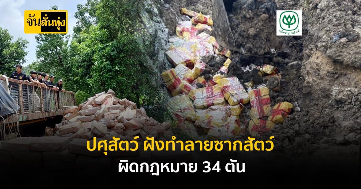 ปศุสัตว์ ฝังทำลาย ซากสัตว์ผิดกฎหมาย 34 ตัน