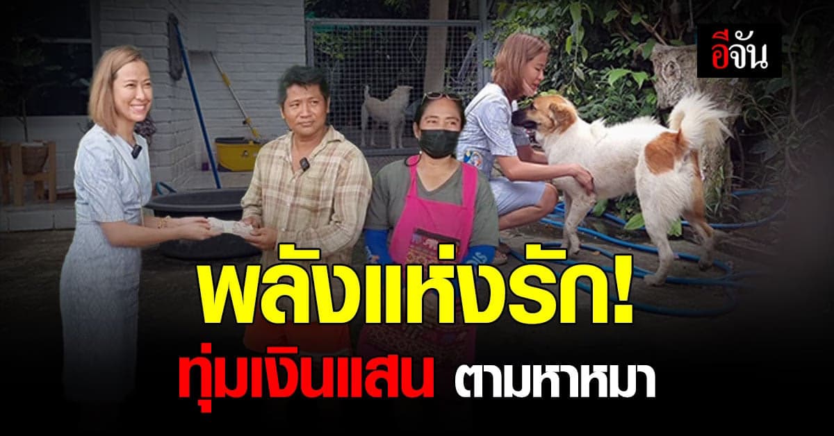 โซเชียลฮือ! โพสต์ตามหาหมา มีค่าตอบแทน 1 แสนบาท