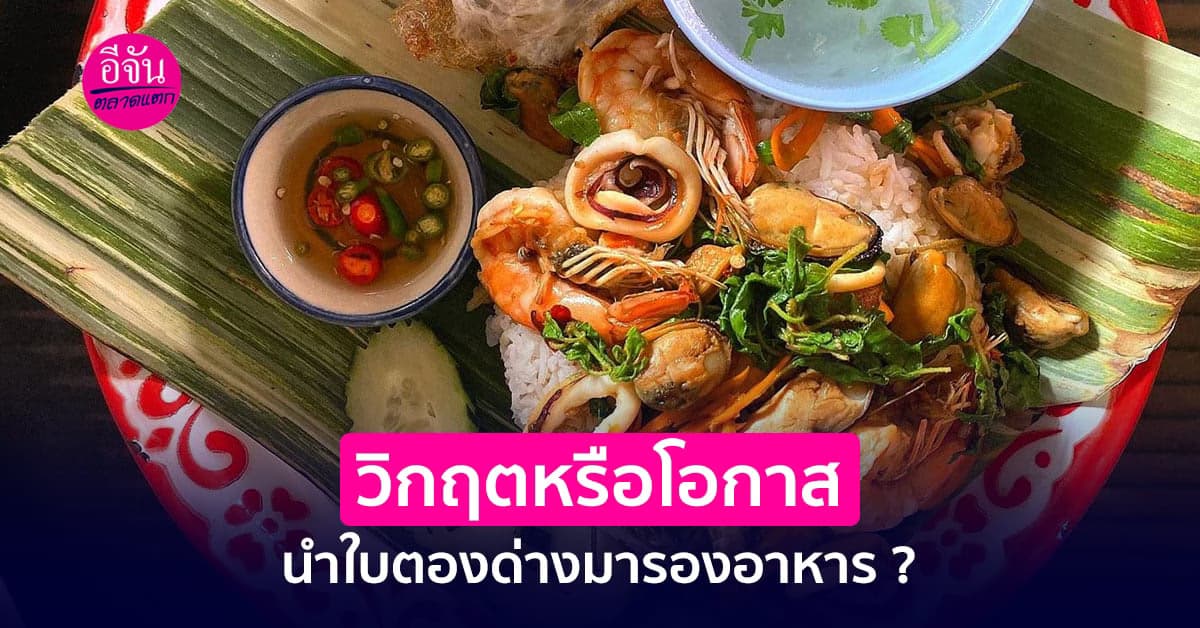 วิกฤตหรือโอกาส  นำใบตองด่าง ต้นไม้แสนแพงมารองอาหาร ?