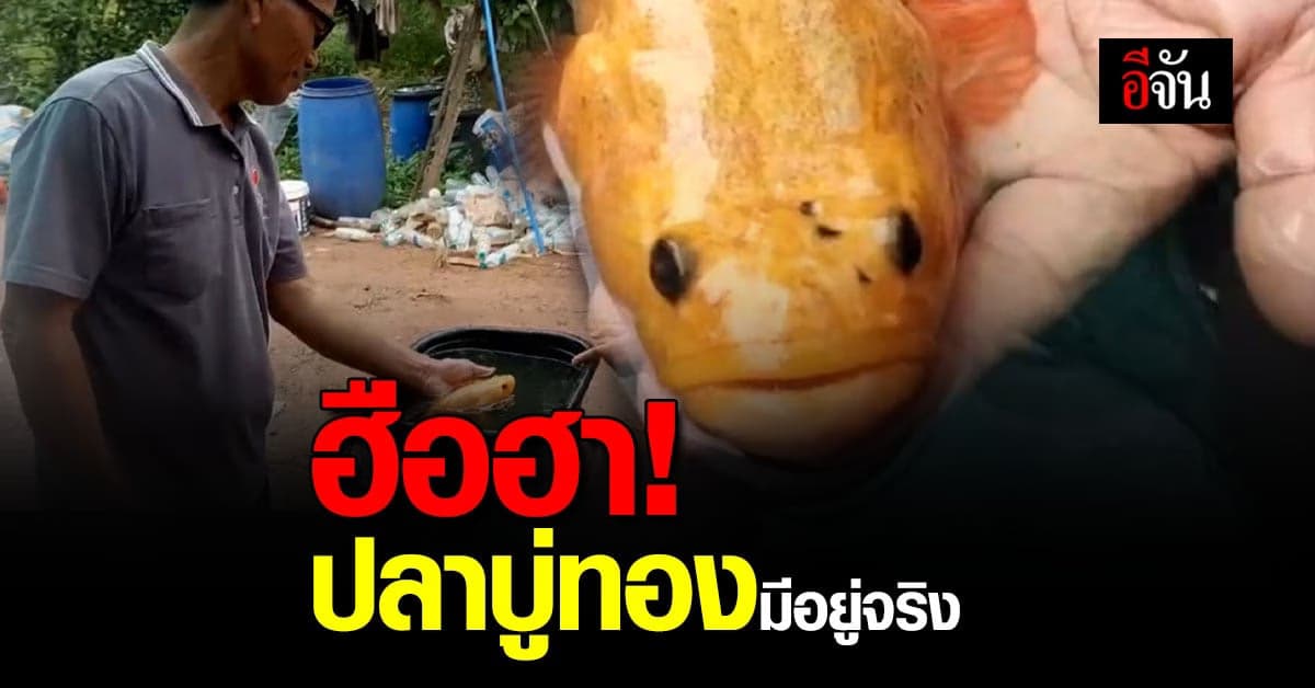 ชาวจันทบุรี แห่ตี เลขเด็ด เมื่อ ปลาบู่ทอง โผล่ให้โชค