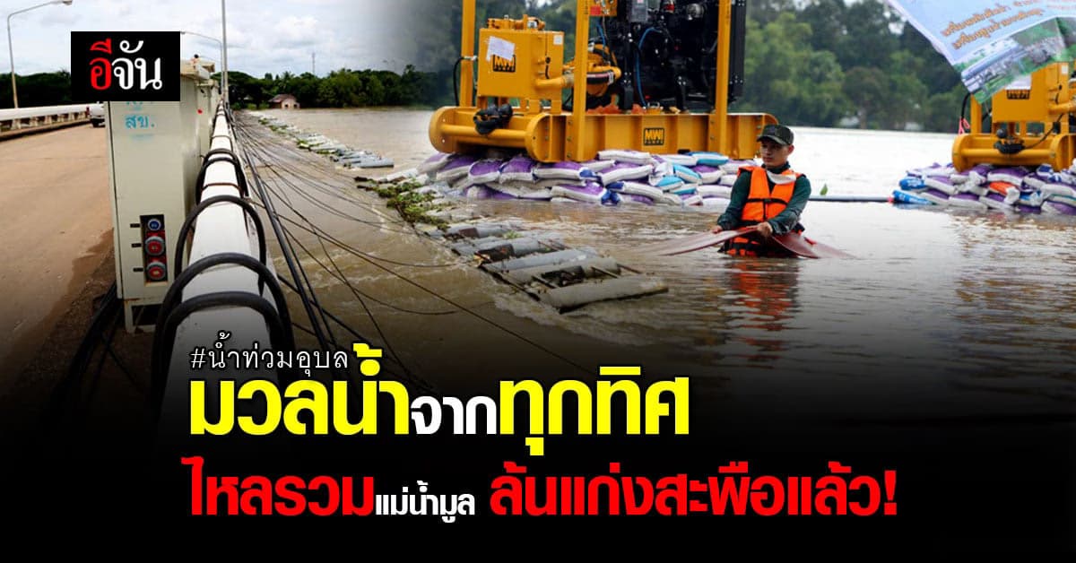 แม่น้ำมูล ช่วงแก่งสะพือ รับมวลน้ำจากทุกทิศ ล้นแก่งแล้ว