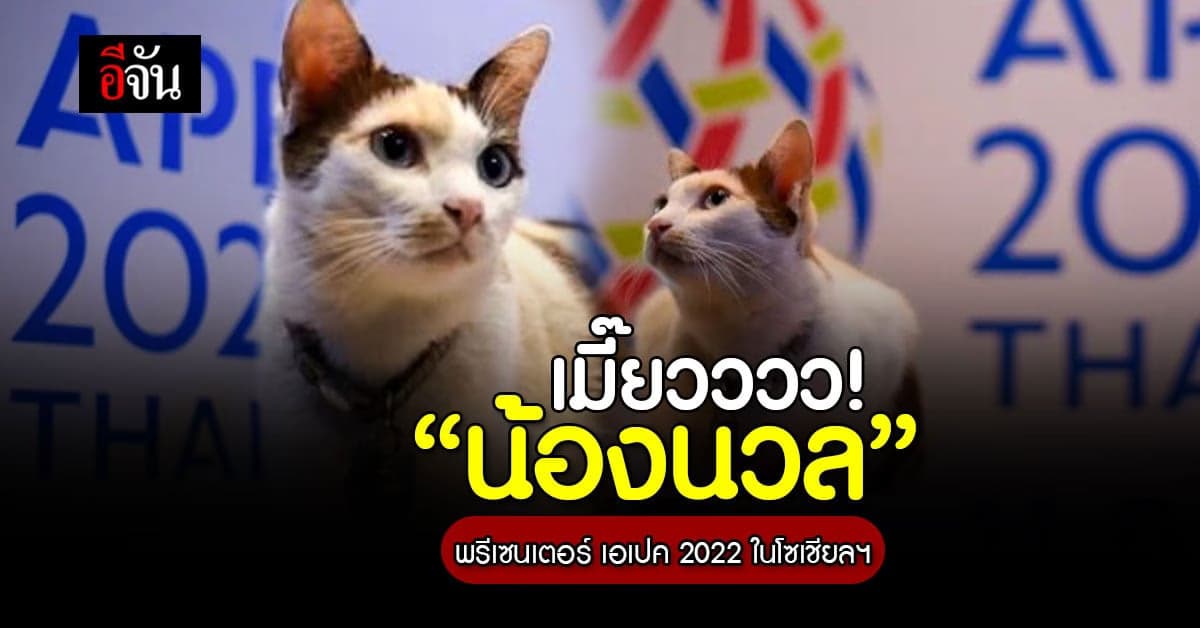 เปิดตัว “น้องนวล” พรีเซนเตอร์ เอเปค 2022 ในโซเชียลฯ