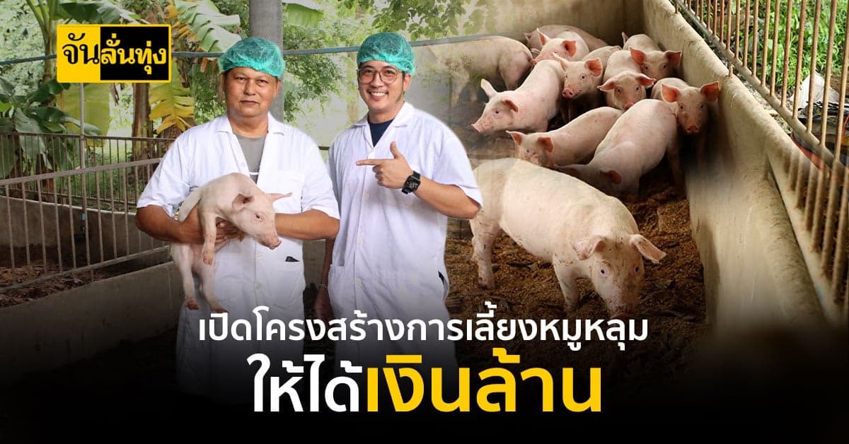 เปิดเทคนิคและโครงสร้างคอก หมูหลุม เลี้ยงง่ายทำง่าย ต้นทุนไม่สูง