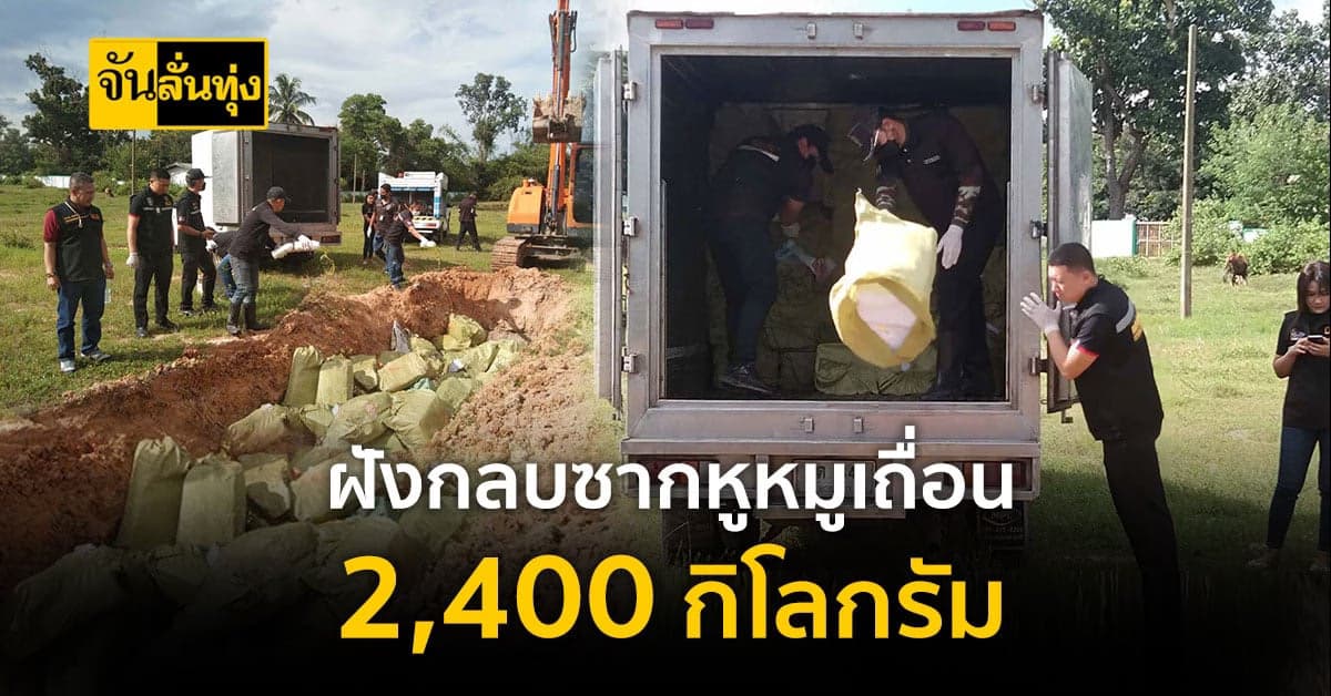 ฝังกลบ ซากหูหมูเถื่อน ลักลอบนำเข้าจากประเทศเพื่อนบ้าน