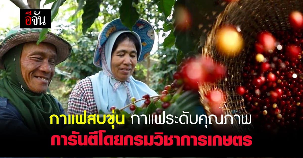 ซีพี ร่วมสนับสนุนวิสาหกิจชุมชน สร้างป่า สร้างรายได้ บ้านสบขุ่น