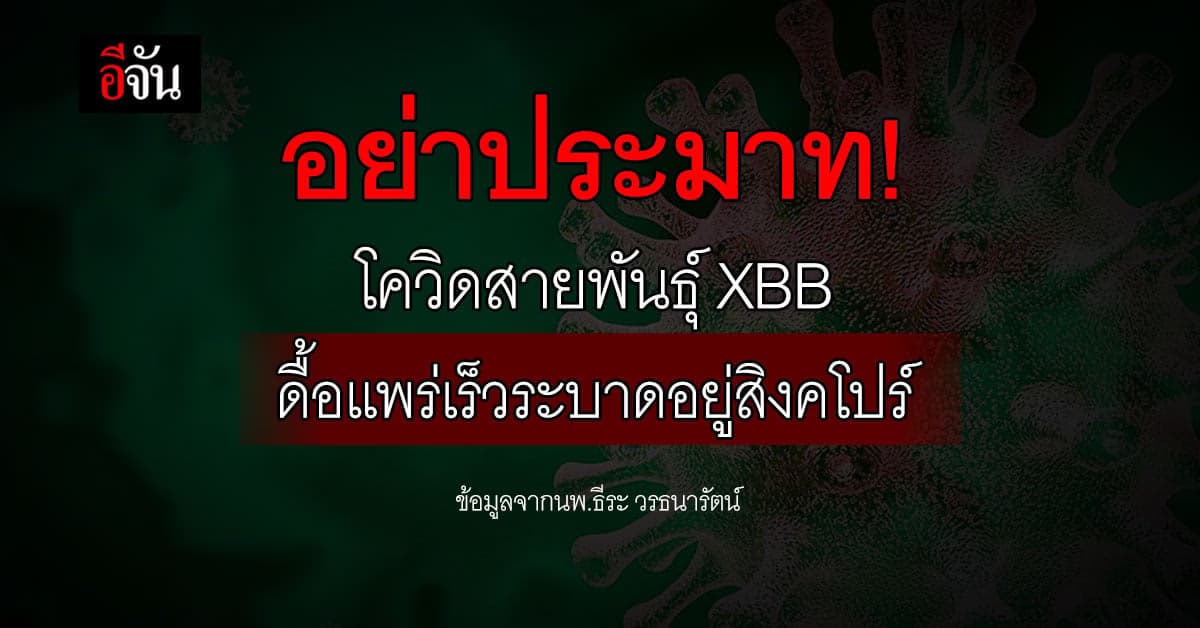 นพ.ธีระ ชี้ อย่าประมาทโควิดสายพันธุ์ XBB กำลังระบาดในเอเชีย