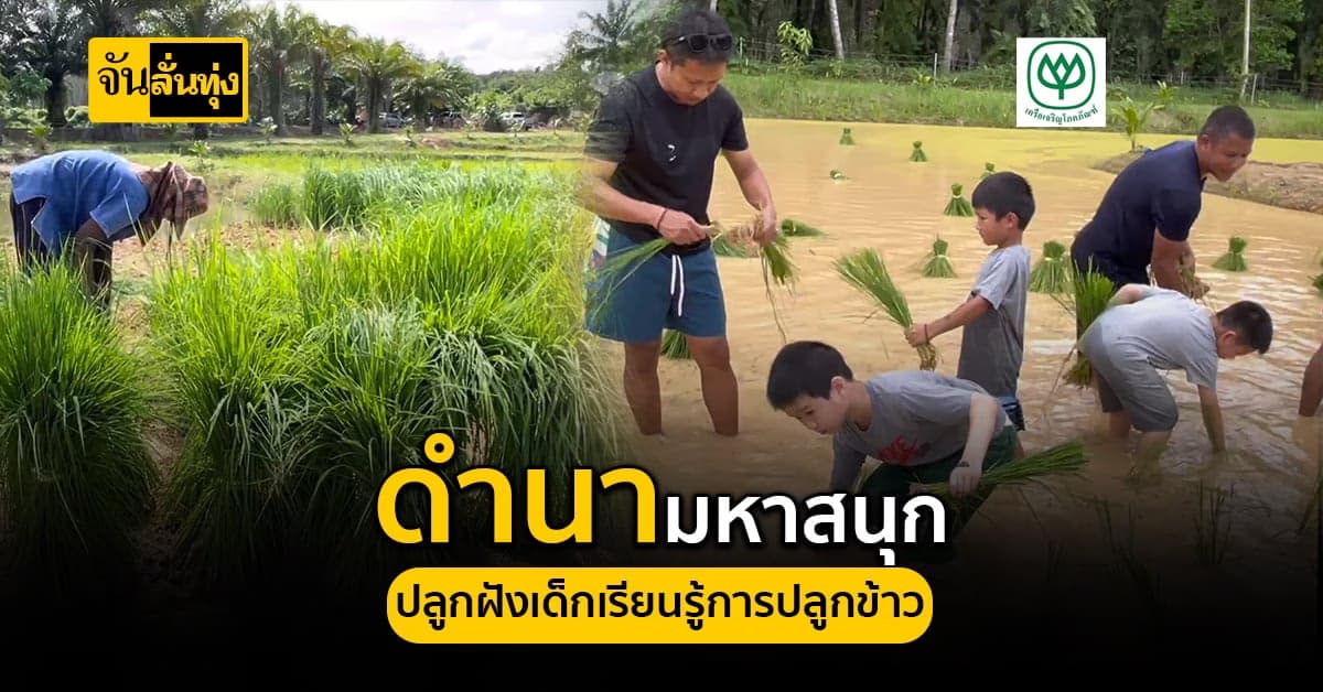 ดำนามหาสนุก ปลูกฝังเยาวชน เปิดประสบการณ์เรียนรู้ อาชีพการทำนา