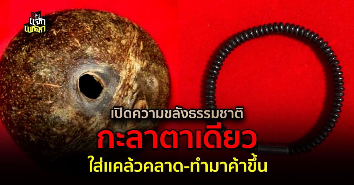 เปิดความขลังกะลาตาเดียว ของดีจากธรรมชาติ